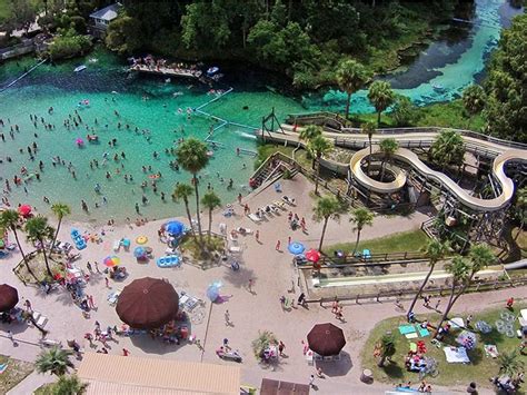 watchies|weeki wachee attractions.